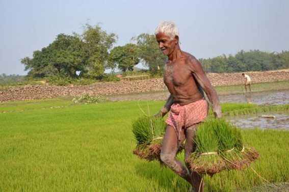 Farmers deprived of rights in Manikâ€™s golden era